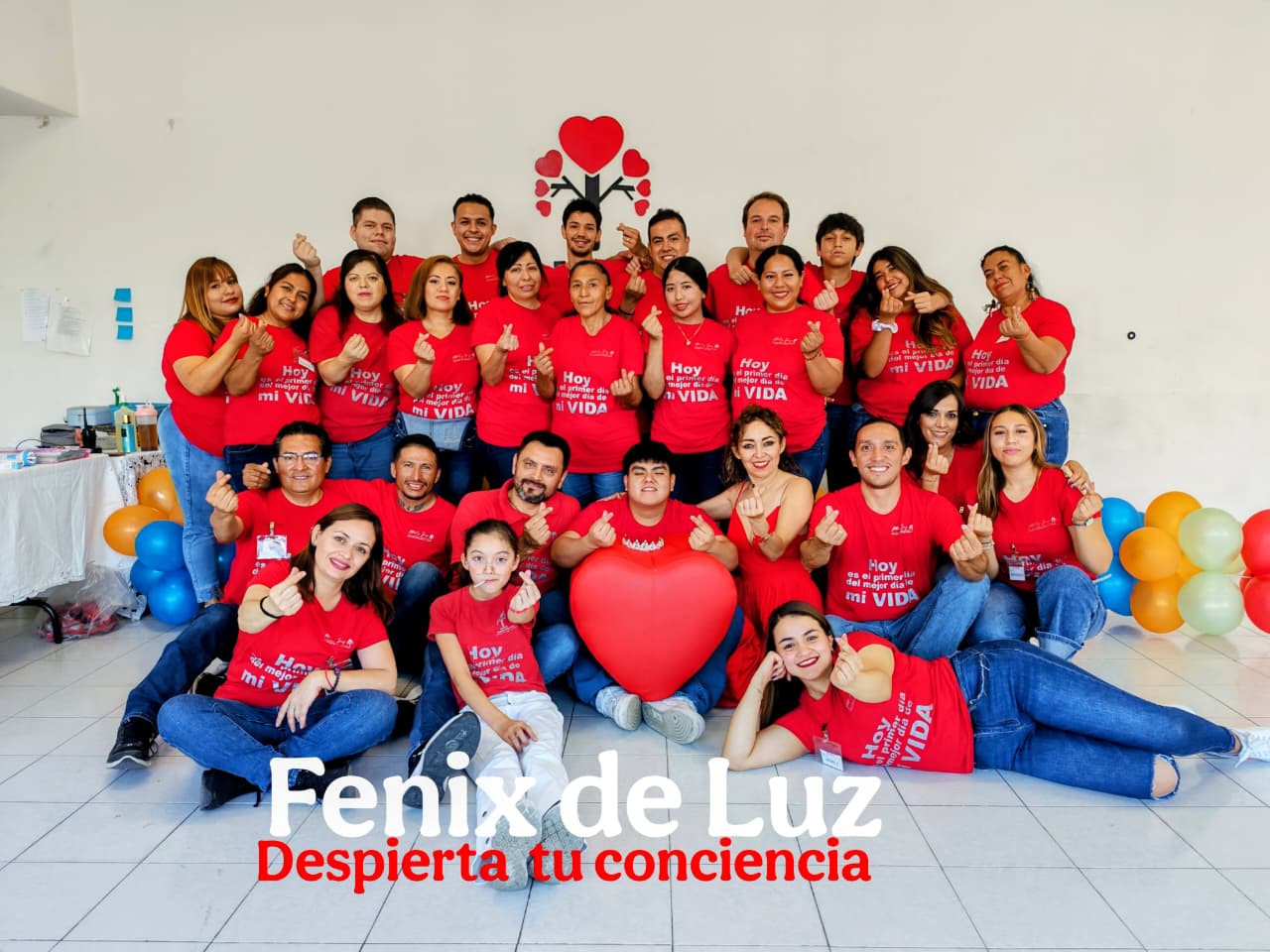 Equipo Quinto Elemento Holistic